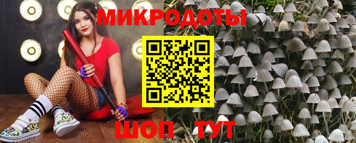 Родники  Галлюциногенные грибы GOLDEN TEACHER  Вход с VPN 
